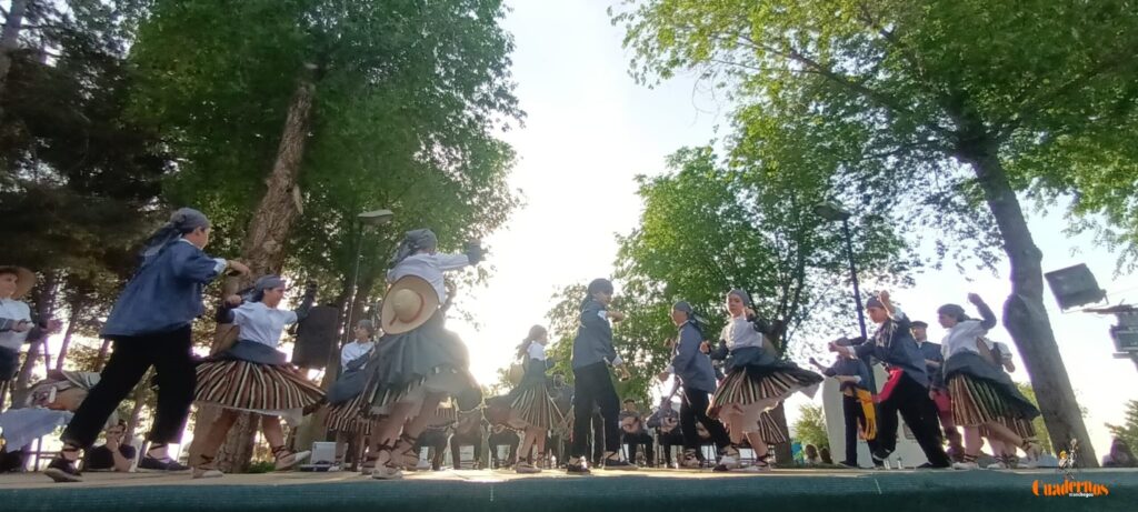 festival folklorico romeria virgen vinas087