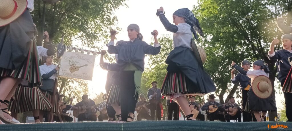 festival folklorico romeria virgen vinas088