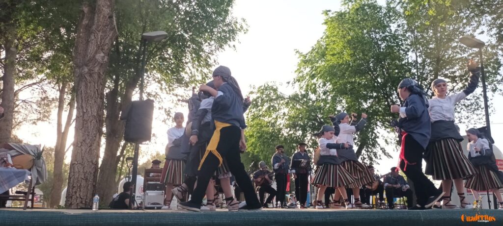 festival folklorico romeria virgen vinas102