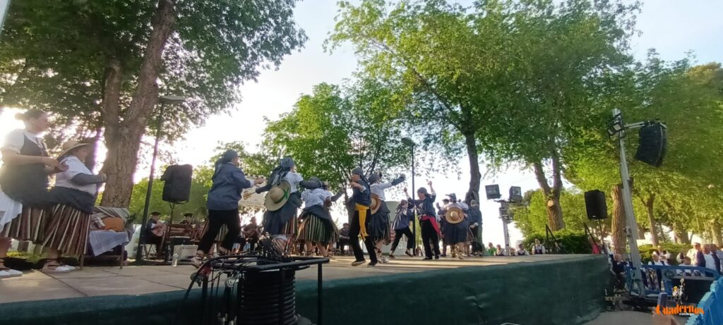 festival folklorico romeria virgen vinas105