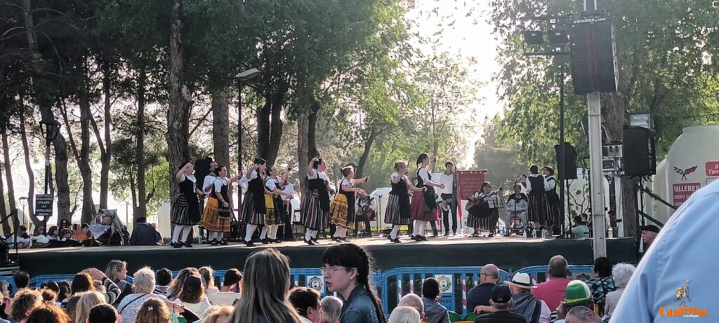 festival folklorico romeria virgen vinas116