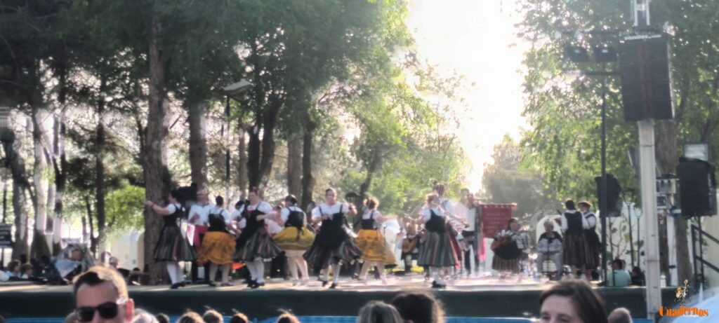 festival folklorico romeria virgen vinas117