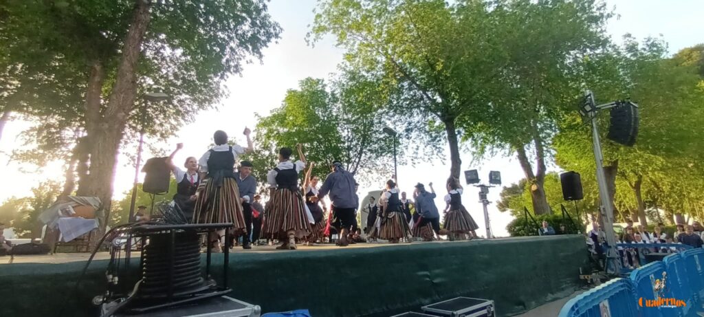 festival folklorico romeria virgen vinas121