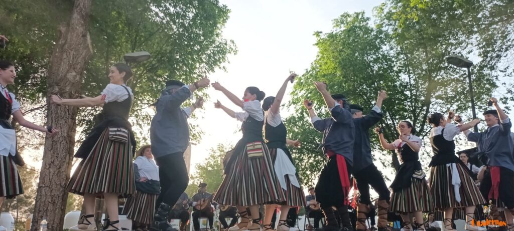 festival folklorico romeria virgen vinas133
