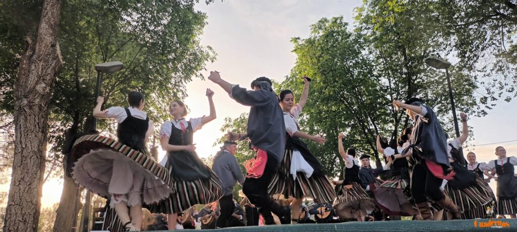 festival folklorico romeria virgen vinas152