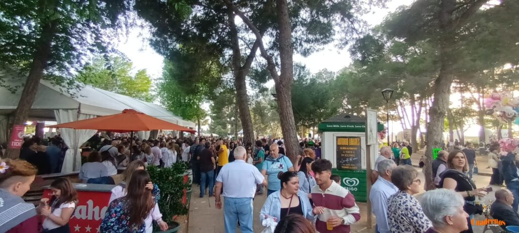 festival folklorico romeria virgen vinas156