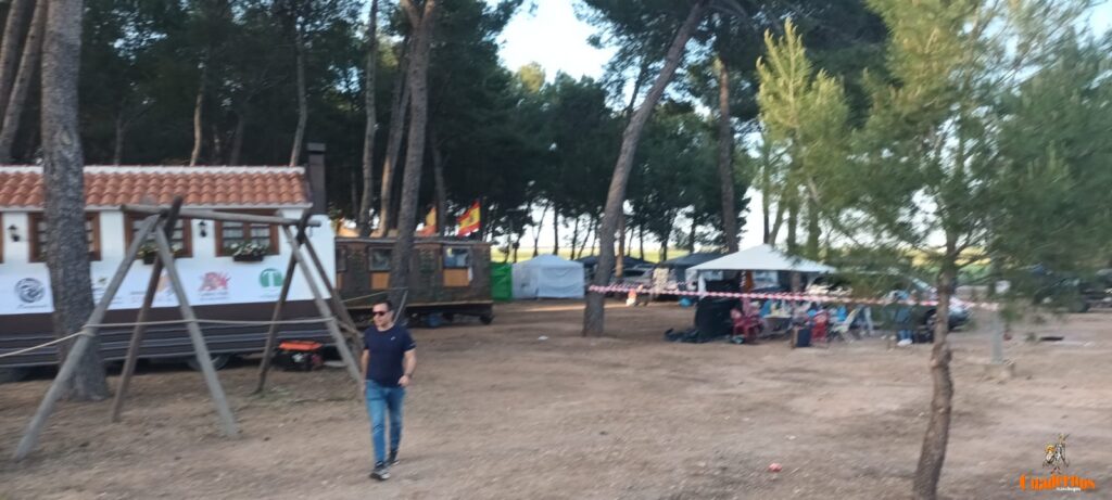 festival folklorico romeria virgen vinas168