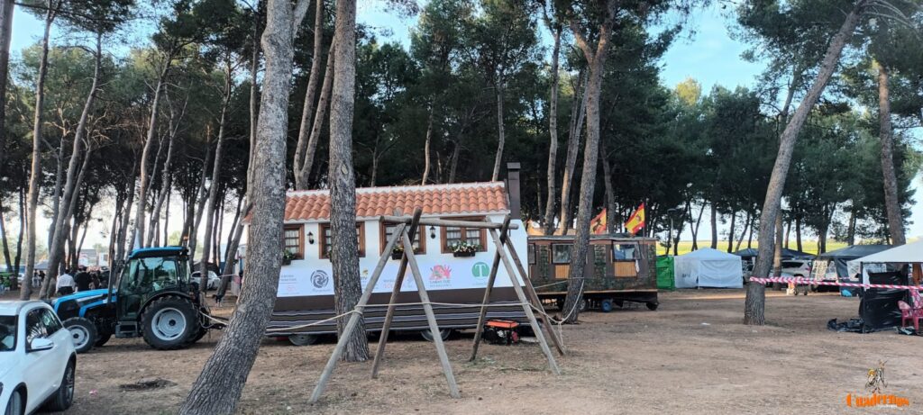 festival folklorico romeria virgen vinas169