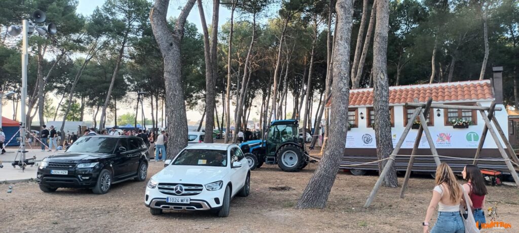 festival folklorico romeria virgen vinas170