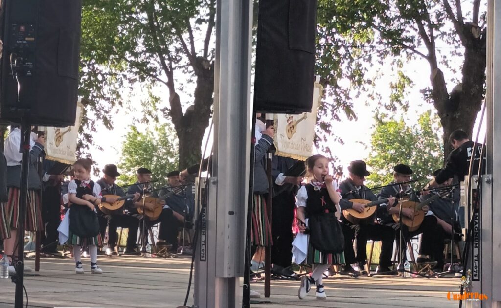 festival folklorico romeriavirgen vinas07
