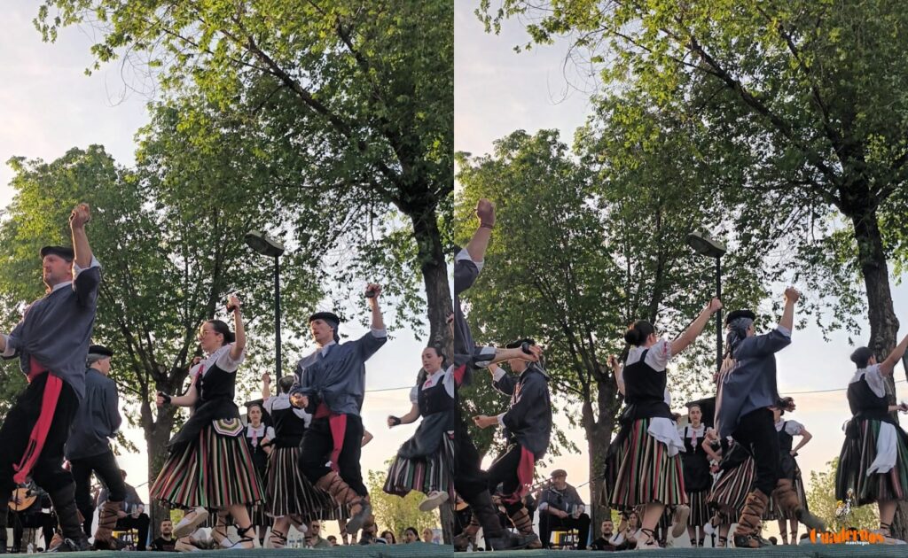 festival folklorico romeriavirgen vinas13
