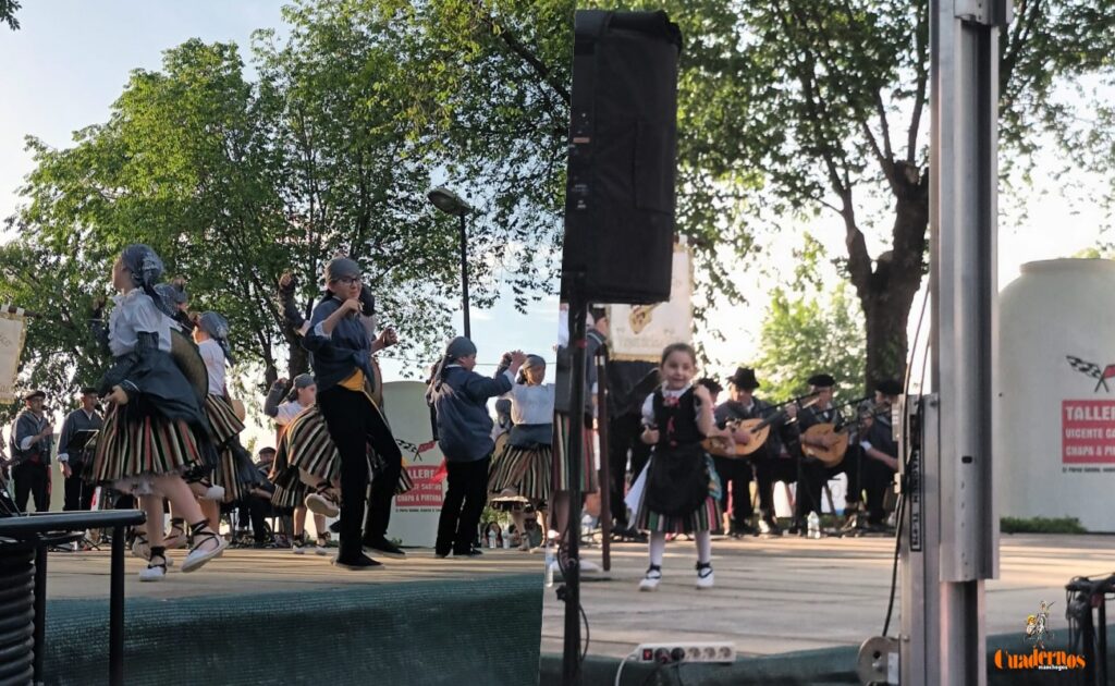 festival folklorico romeriavirgen vinas17