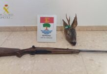 La Guardia Civil en el marco del Plan contra el Furtivismo investiga a un cazador por abatir ilegalmente un corzo en Moral de Calatrava La Guardia Civil en el marco del Plan contra el Furtivismo investiga a un cazador por abatir ilegalmente un corzo en Moral de Calatrava