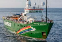Greenpeace se suma a la Global Sumud Flotilla hacia Gaza Greenpeace se suma a la Global Sumud Flotilla hacia Gaza