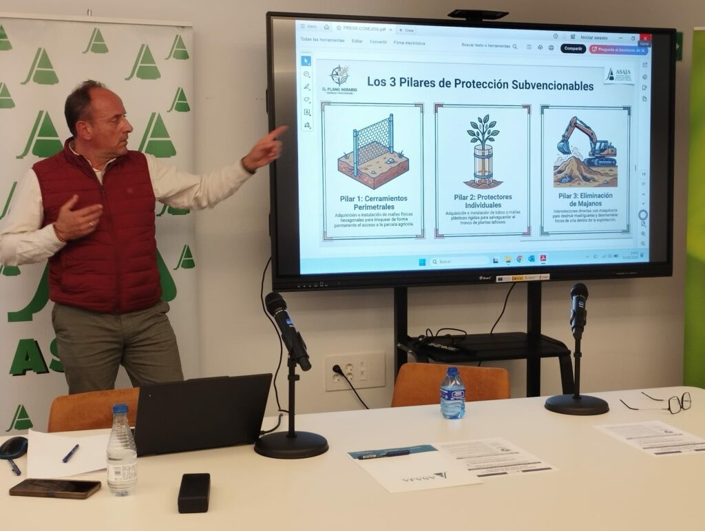 ASAJA Ciudad Real analiza en Tomelloso la grave problemática de la plaga de conejos y reclama medidas eficaces y urgentes 4 jornadaconejosalcaldetomelloso 3
