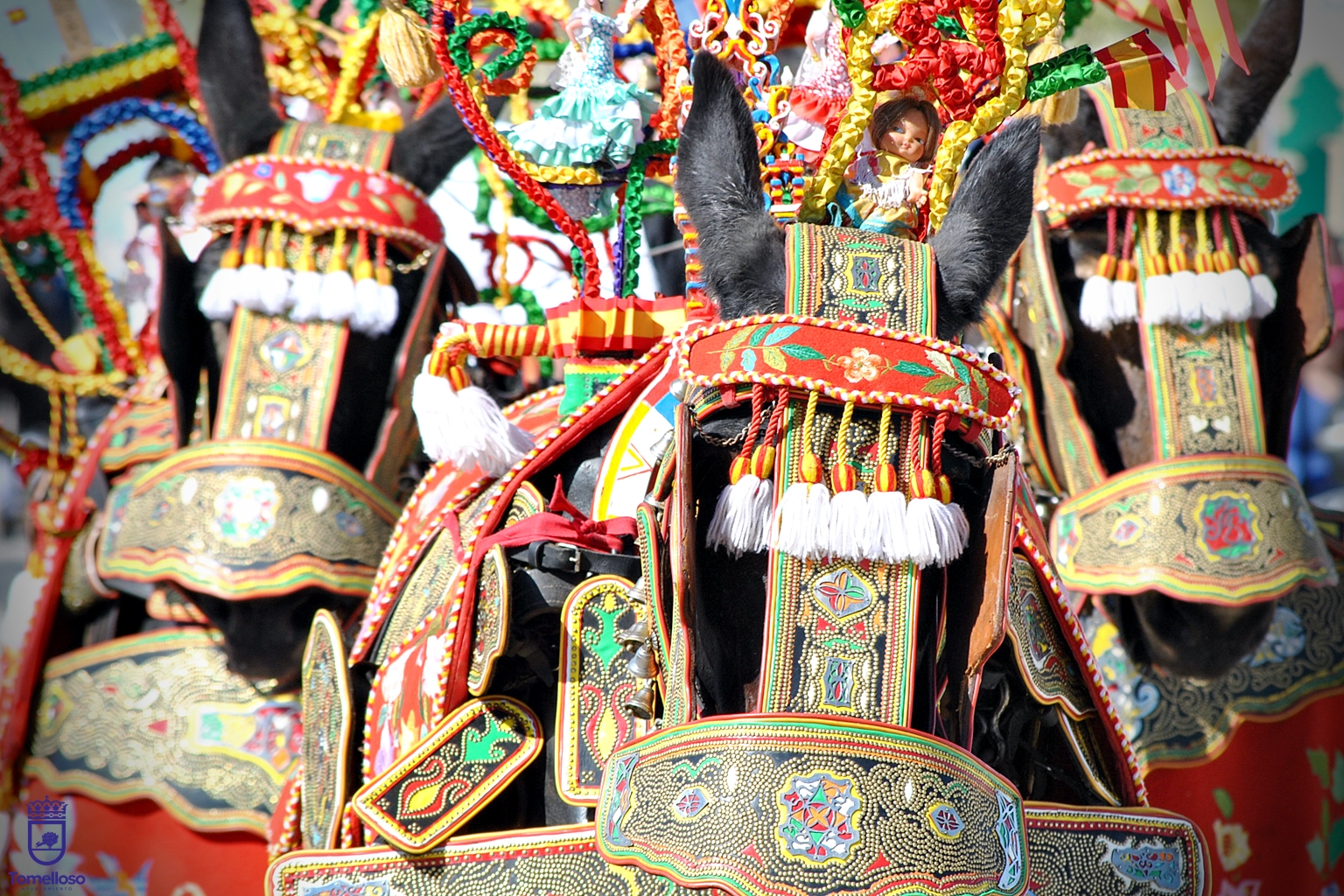 Jornadas de puertas abiertas esta semana de Romería para que el público conozca el patrimonio de los carreros de Tomelloso