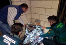 Localizado con vida en Tomelloso un anciano de 81 años desaparecido tras salir en bicicleta Localizado con vida en Tomelloso un anciano de 81 años desaparecido tras salir en bicicleta