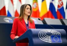 Cristina Maestre defiende el sector ganadero como elemento clave para la soberanía alimentaria y la autonomía estratégica de la UE Cristina Maestre defiende el sector ganadero como elemento clave para la soberanía alimentaria y la autonomía estratégica de la UE