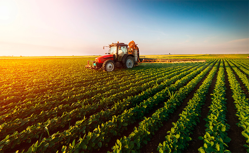 Agricaman solicita ampliar la PAC hasta mayo, anticipos en julio y una reforma urgente del sistema