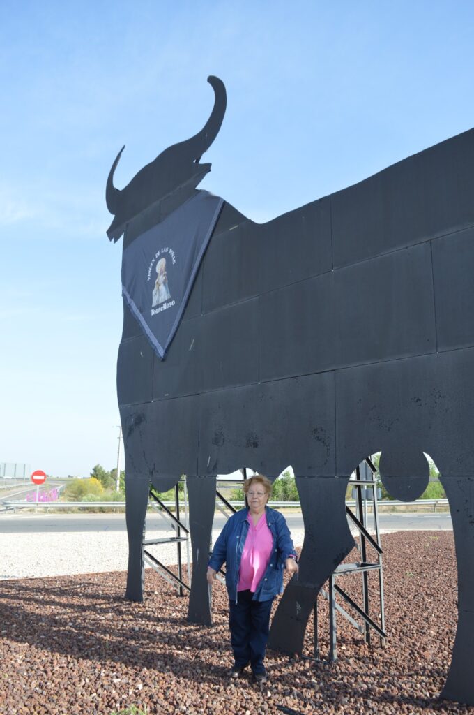 panuelo toro osborne tomelloso 9