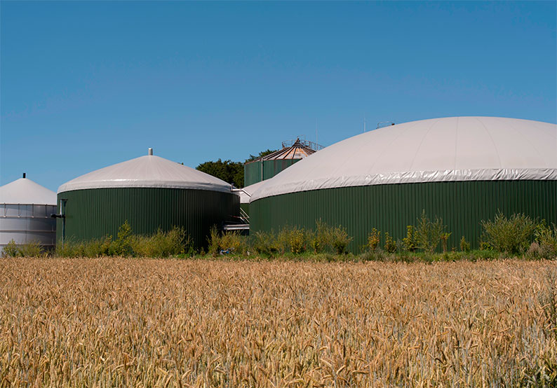 Las plataformas ciudadanas de Castilla – La Mancha se organizan para plantar cara a la expansión masiva de macroplantas de biometano en la región