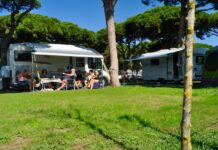 El puente de mayo confirma la desestacionalización del sector del camping con una previsión del 75% de ocupación media El puente de mayo confirma la desestacionalización del sector del camping con una previsión del 75% de ocupación media