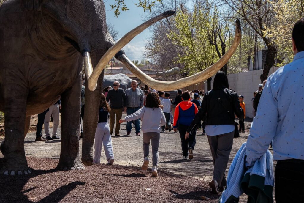 Pozuelo de Calatrava invita a vivir una Semana Santa extraordinaria entre tradición y naturaleza con La Inesperada 1 semanasantapozuelodecalatrava 2