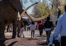 Pozuelo de Calatrava invita a vivir una Semana Santa extraordinaria entre tradición y naturaleza con La Inesperada Pozuelo de Calatrava invita a vivir una Semana Santa extraordinaria entre tradición y naturaleza con La Inesperada