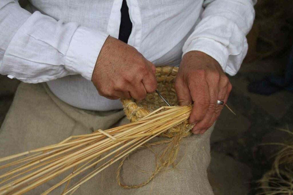 tamajon edad media 04