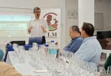 CLM Wine Interpreter, un programa de formación que llega para cambiar lo que los profesionales del vino saben y cuentan de Castilla-La Mancha CLM Wine Interpreter, un programa de formación que llega para cambiar lo que los profesionales del vino saben y cuentan de Castilla-La Mancha
