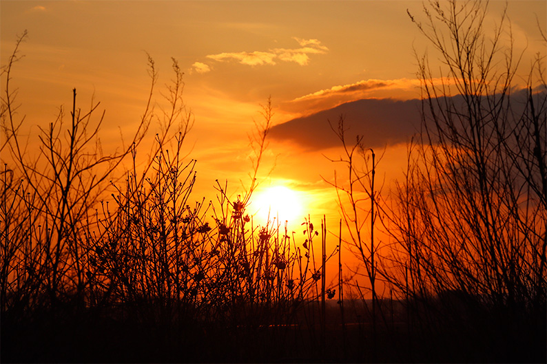 Amanecer de mayo