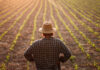 ASAJA Ciudad Real denuncia el retraso “inaceptable” en la publicación de la orden de módulos agrarios ASAJA Ciudad Real denuncia el retraso “inaceptable” en la publicación de la orden de módulos agrarios