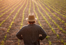 ASAJA Ciudad Real denuncia el retraso “inaceptable” en la publicación de la orden de módulos agrarios ASAJA Ciudad Real denuncia el retraso “inaceptable” en la publicación de la orden de módulos agrarios