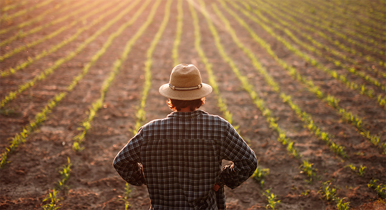 ASAJA Ciudad Real denuncia el retraso “inaceptable” en la publicación de la orden de módulos agrarios