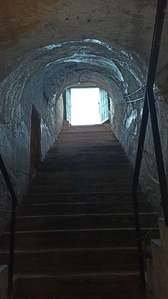 "Bajo la Luz de la Lumbrera · CANTO” llena Cueva Orígenes en una noche única de música, historia y patrimonio 11 canto lumbrera tomelloso 13