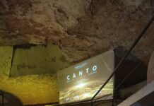 «Bajo la Luz de la Lumbrera · CANTO” llena Cueva Orígenes en una noche única de música, historia y patrimonio "Bajo la Luz de la Lumbrera · CANTO” llena Cueva Orígenes en una noche única de música, historia y patrimonio