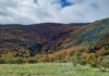 Castilla-La Mancha celebra la VI Semana de los Espacios Naturales Protegidos con actividades gratuitas y concursos para acercar la biodiversidad a la ciudadanía Castilla-La Mancha celebra la VI Semana de los Espacios Naturales Protegidos con actividades gratuitas y concursos para acercar la biodiversidad a la ciudadanía