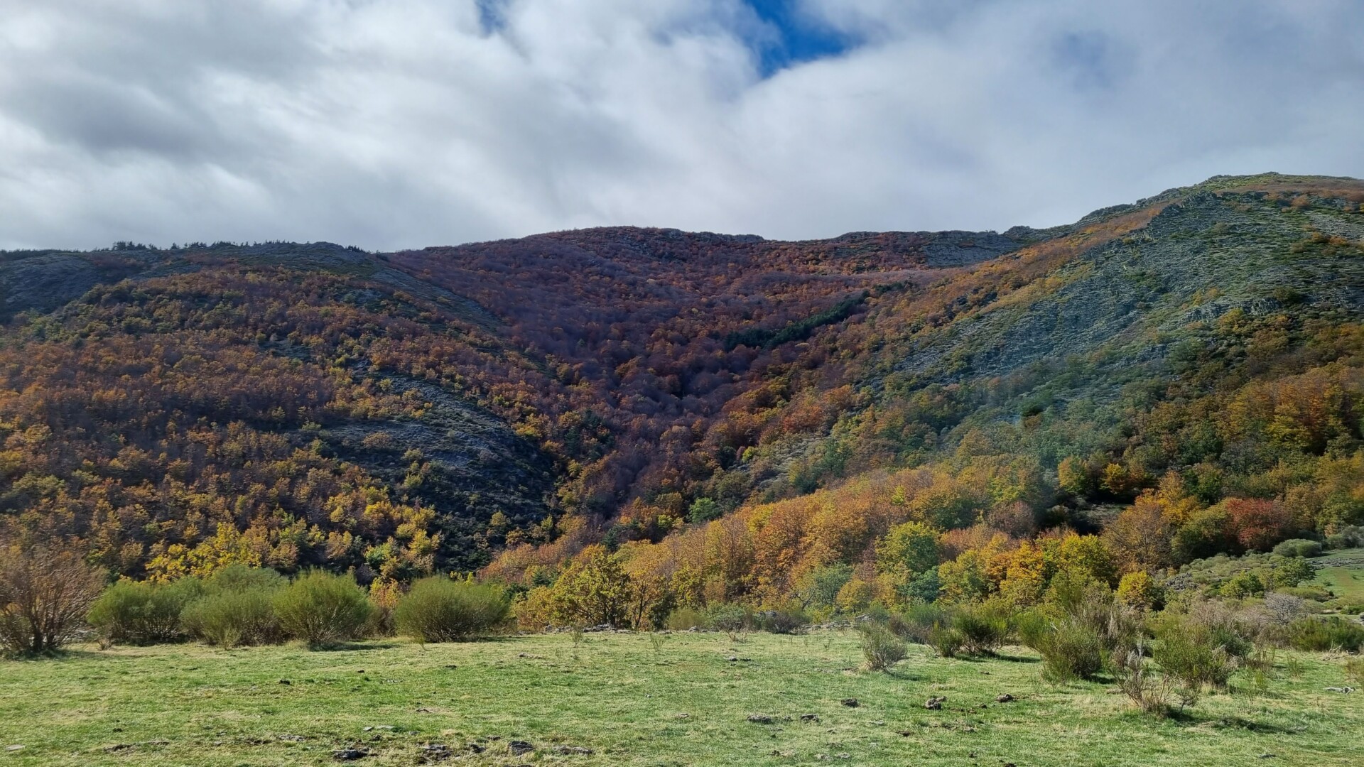 Castilla-La Mancha celebra la VI Semana de los Espacios Naturales Protegidos con actividades gratuitas y concursos para acercar la biodiversidad a la ciudadanía