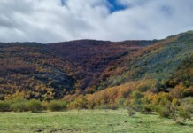 Castilla-La Mancha celebra la VI Semana de los Espacios Naturales Protegidos con actividades gratuitas y concursos para acercar la biodiversidad a la ciudadanía Castilla-La Mancha celebra la VI Semana de los Espacios Naturales Protegidos con actividades gratuitas y concursos para acercar la biodiversidad a la ciudadanía