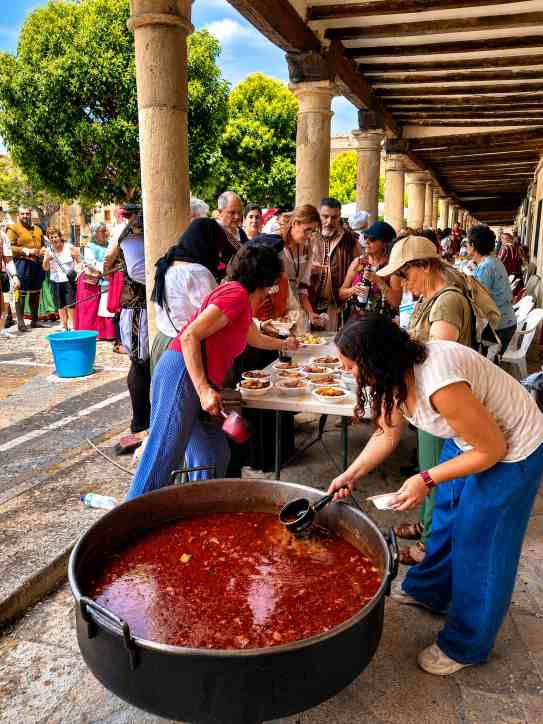 Cogolludo revive el Renacimiento entre historia, música y recreación en una multitudinaria VI Jornada Renacentista 21 cogolludo revive renacimiento 07