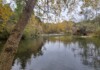 Convocado el ‘Premio Regional de Medio Ambiente 2026’ que promueve la conservación, protección y difusión de los valores ambientales El Gobierno de Castilla-La Mancha convoca el ‘Premio Regional de Medio Ambiente 2026’ que promueve la conservación, protección y difusión de los valores ambientales