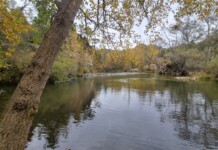 Convocado el ‘Premio Regional de Medio Ambiente 2026’ que promueve la conservación, protección y difusión de los valores ambientales El Gobierno de Castilla-La Mancha convoca el ‘Premio Regional de Medio Ambiente 2026’ que promueve la conservación, protección y difusión de los valores ambientales