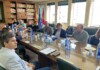El Gobierno de Castilla-La Mancha intensifica las medidas para frenar la sobrepoblación de conejos de monte con 95.552 capturas en Ciudad Real El Gobierno de Castilla-La Mancha intensifica las medidas para frenar la sobrepoblación de conejos de monte con 95.552 capturas en Ciudad Real