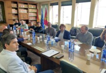 El Gobierno de Castilla-La Mancha intensifica las medidas para frenar la sobrepoblación de conejos de monte con 95.552 capturas en Ciudad Real El Gobierno de Castilla-La Mancha intensifica las medidas para frenar la sobrepoblación de conejos de monte con 95.552 capturas en Ciudad Real