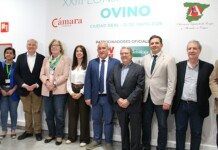 El Gobierno de Castilla-La Mancha subraya que la ganadería es un pilar estratégico dentro del sector primario de la región El Gobierno de Castilla-La Mancha subraya que la ganadería es un pilar estratégico dentro del sector primario de la región