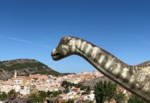 El Gobierno regional celebra el Día Internacional de los Museos con actividades en el Museo de Cuenca, el Museo de las Ciencias y el MUPA El Gobierno regional celebra el Día Internacional de los Museos con actividades en el Museo de Cuenca, el Museo de las Ciencias y el MUPA