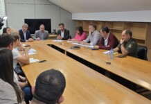 El Gobierno regional publicará en junio la orden de ayudas para que los agricultores protejan los cultivos de la sobrepoblación de conejos El Gobierno regional publicará en junio la orden de ayudas para que los agricultores protejan los cultivos de la sobrepoblación de conejos