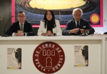 La Junta subraya la importancia estratégica del toro bravo por su relevancia ganadera y su contribución al medio rural El Gobierno regional subraya la importancia estratégica del toro bravo por su relevancia ganadera y su contribución al medio rural