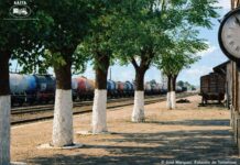 Entre viñas y raíles: la oportunidad histórica de conectar a Tomelloso y Argamasilla de Alba Entre viñas y raíles: la oportunidad histórica de conectar a Tomelloso y Argamasilla de AlbaA
