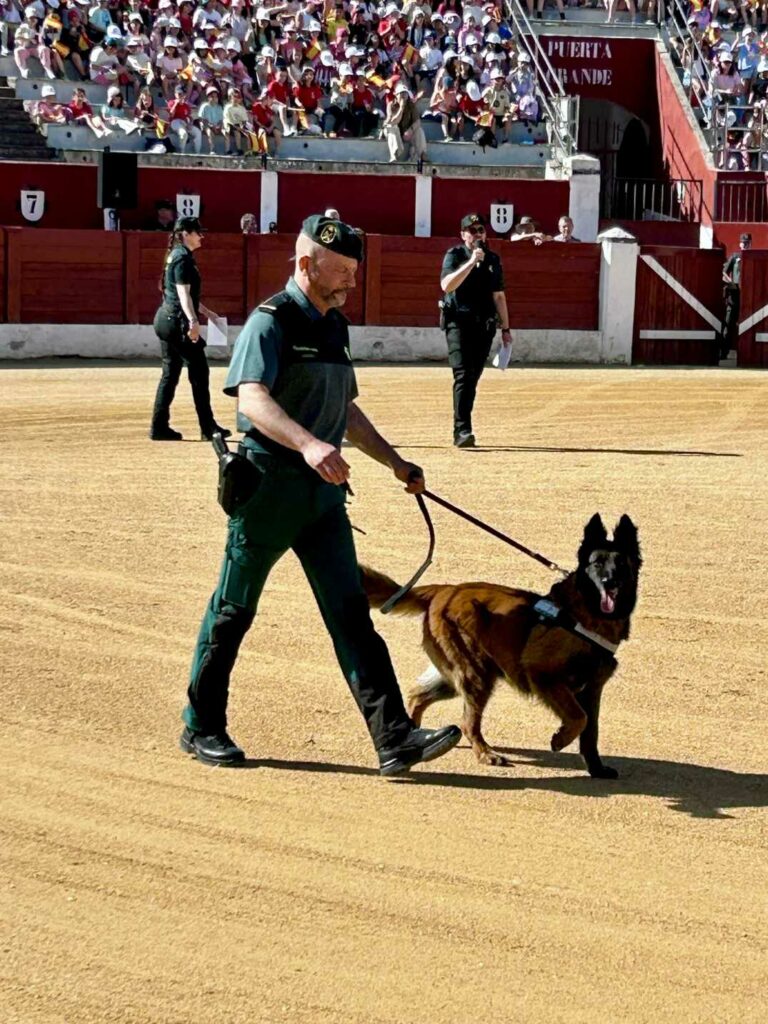 La Guardia Civil acerca sus medios y especialidades a cerca de 2.000 escolares en Alcázar de San Juan 2 exhibicionmedioagcivilalcazar 3